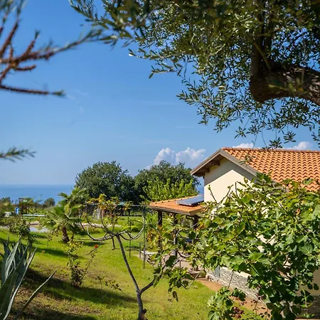 Ninea Panoramic Family - Large Pool With Sea View Capo Vaticano