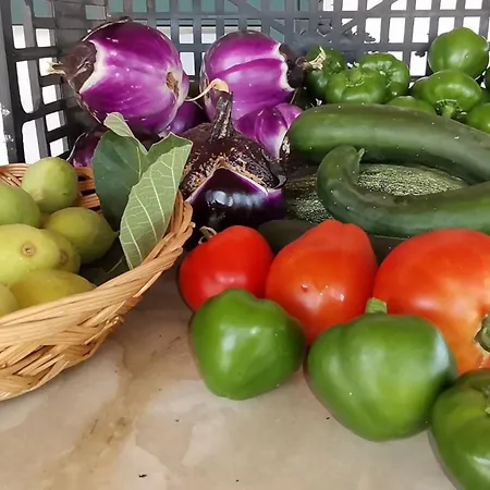 Ninea Panoramic Family - Large Pool With Sea View Apartamento *