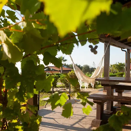 Ninea Panoramic Family - Large Pool With Sea View *