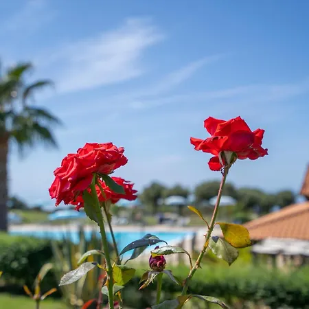 Ninea Panoramic Family - Large Pool With Sea View * Капо-Ватикано