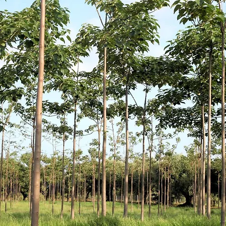 Ninea Panoramic Family - Large Pool With Sea View