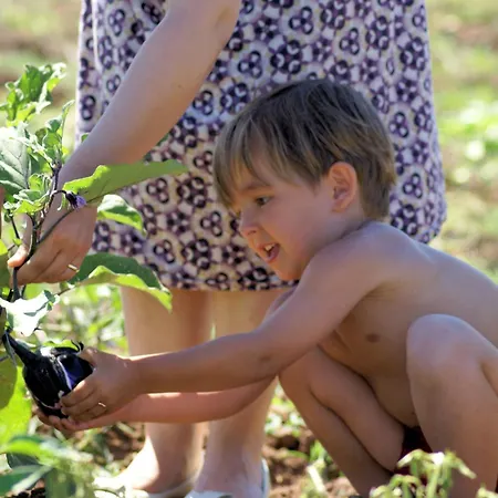 Lägenhet Ninea Panoramic Family - Large Pool With Sea View