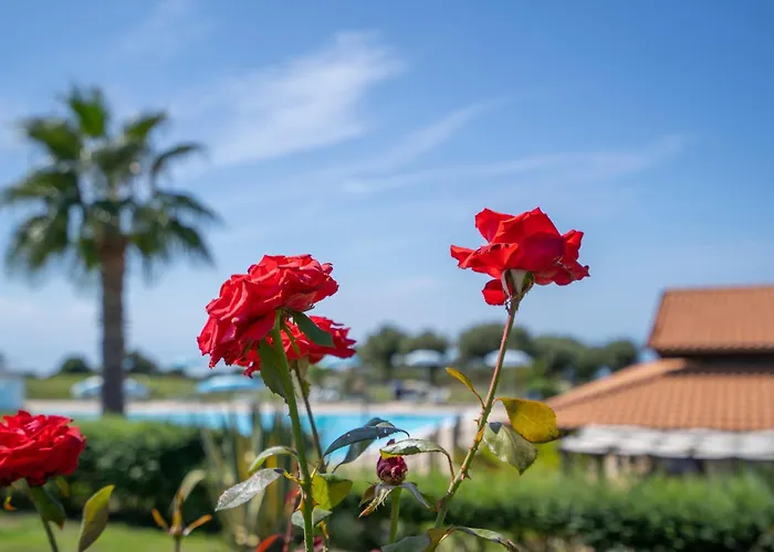 Ninea Panoramic Family - Large Pool With Sea View * Capo Vaticano