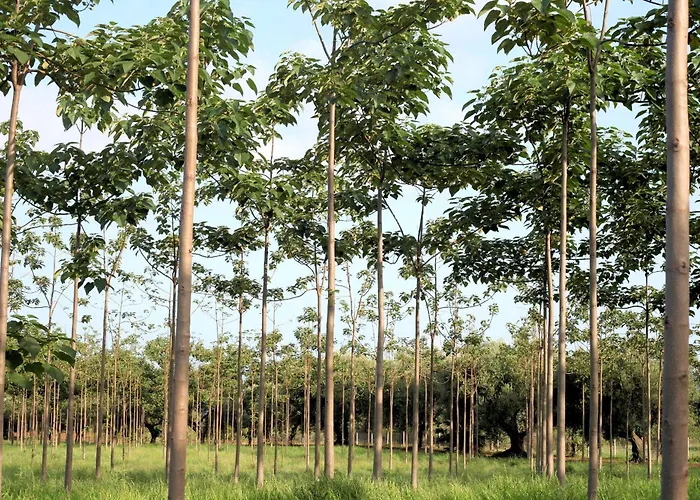 Ninea Panoramic Family - Large Pool With Sea View