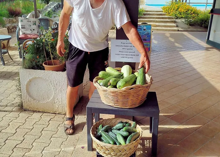 Lejlighed Ninea Panoramic Family - Large Pool With Sea View Capo Vaticano