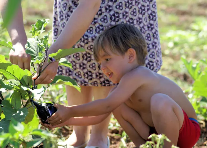 Apartmán Ninea Panoramic Family - Large Pool With Sea View